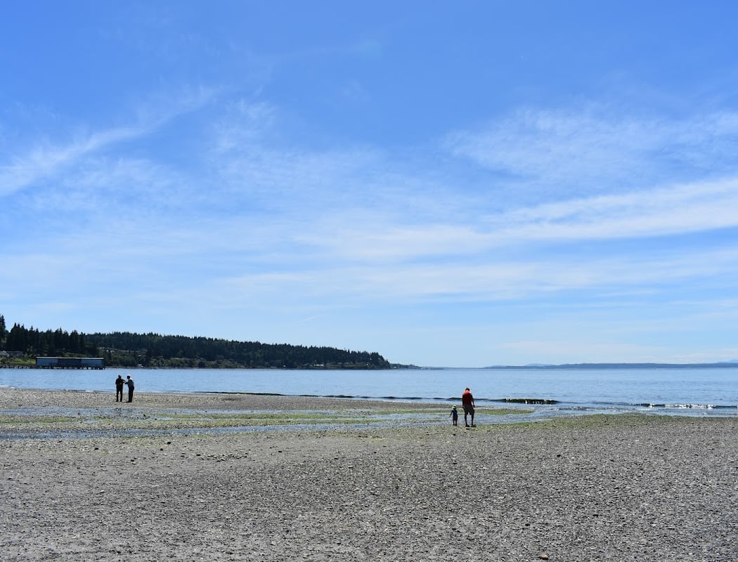 Low-Tide Exploration 3
