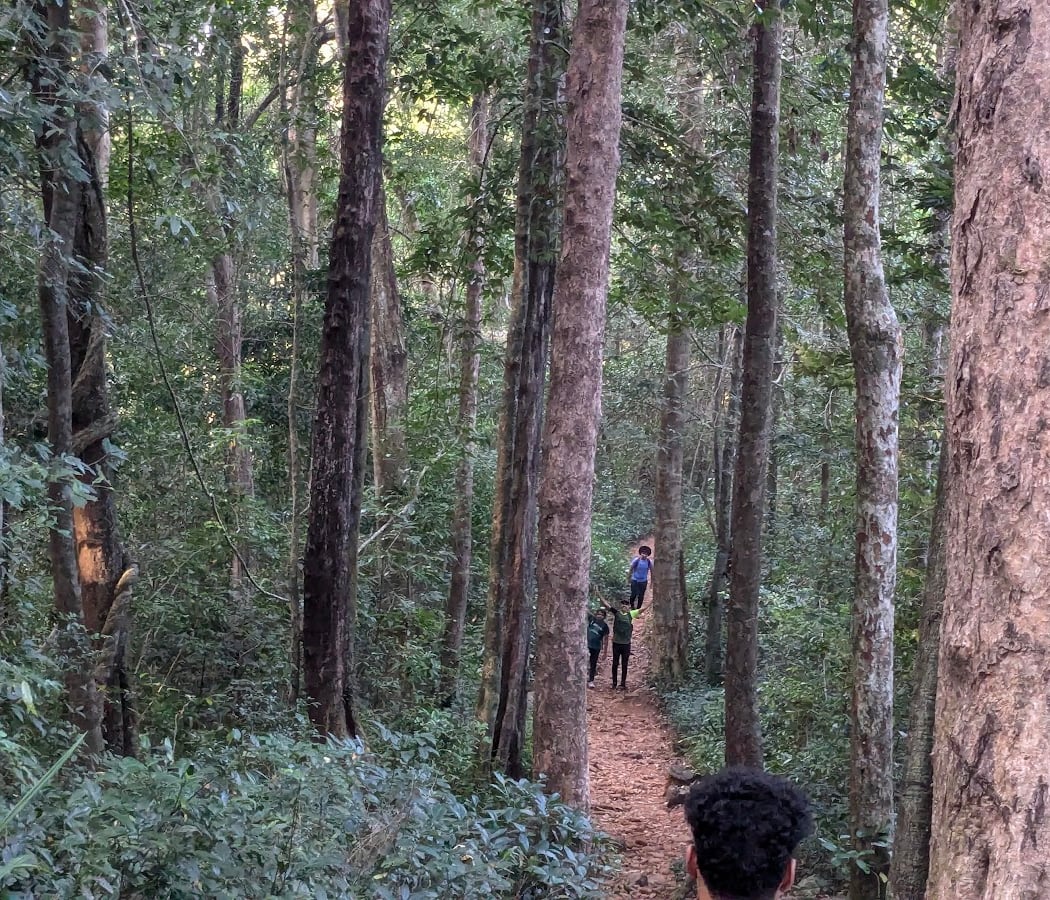 Kumara Paravatha Trek 3