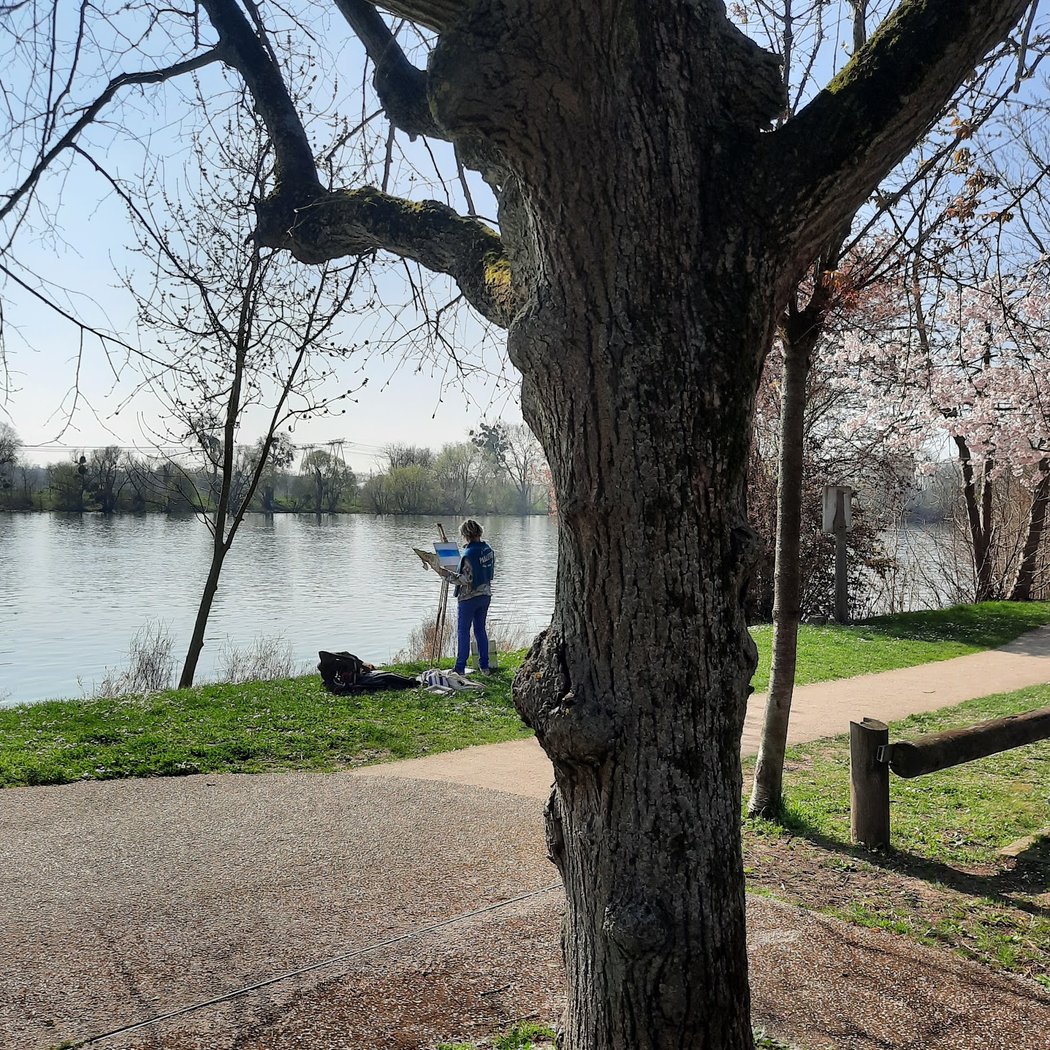 Berges de seine- Bernaches du Canada 3