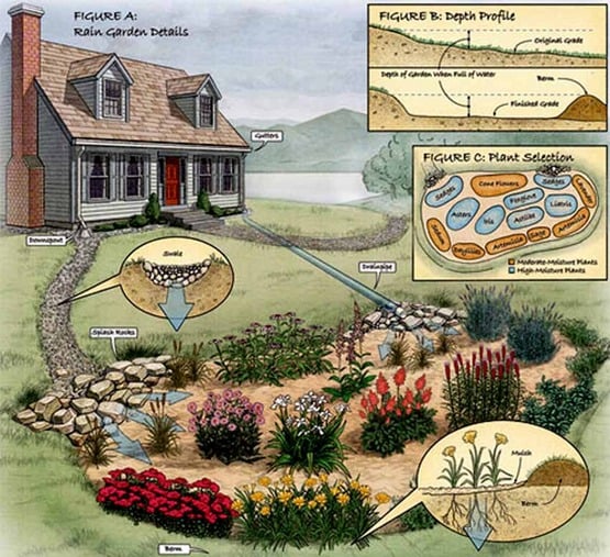 Dearborn Rain Gardens 101 Workshop 3