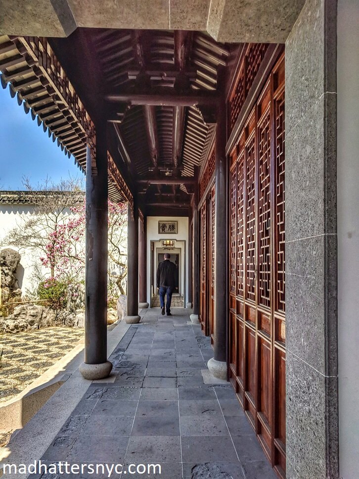 New York Chinese Scholar's Garden, Snug Harbor Cultural Center 5