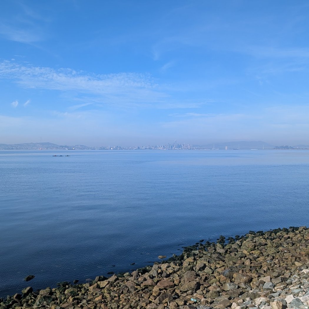 Shoreline Park 2