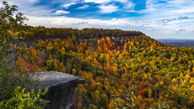 Thacher State Park 1