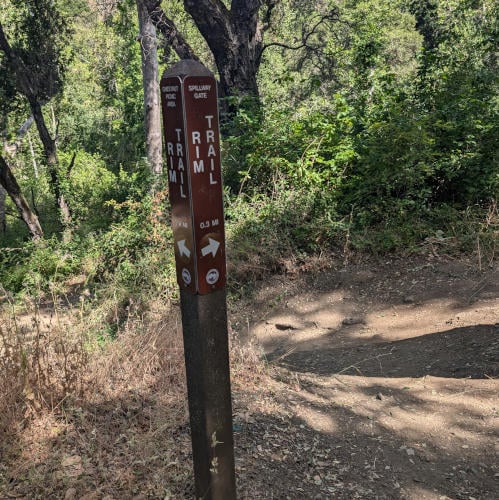 Tony Look trail 3
