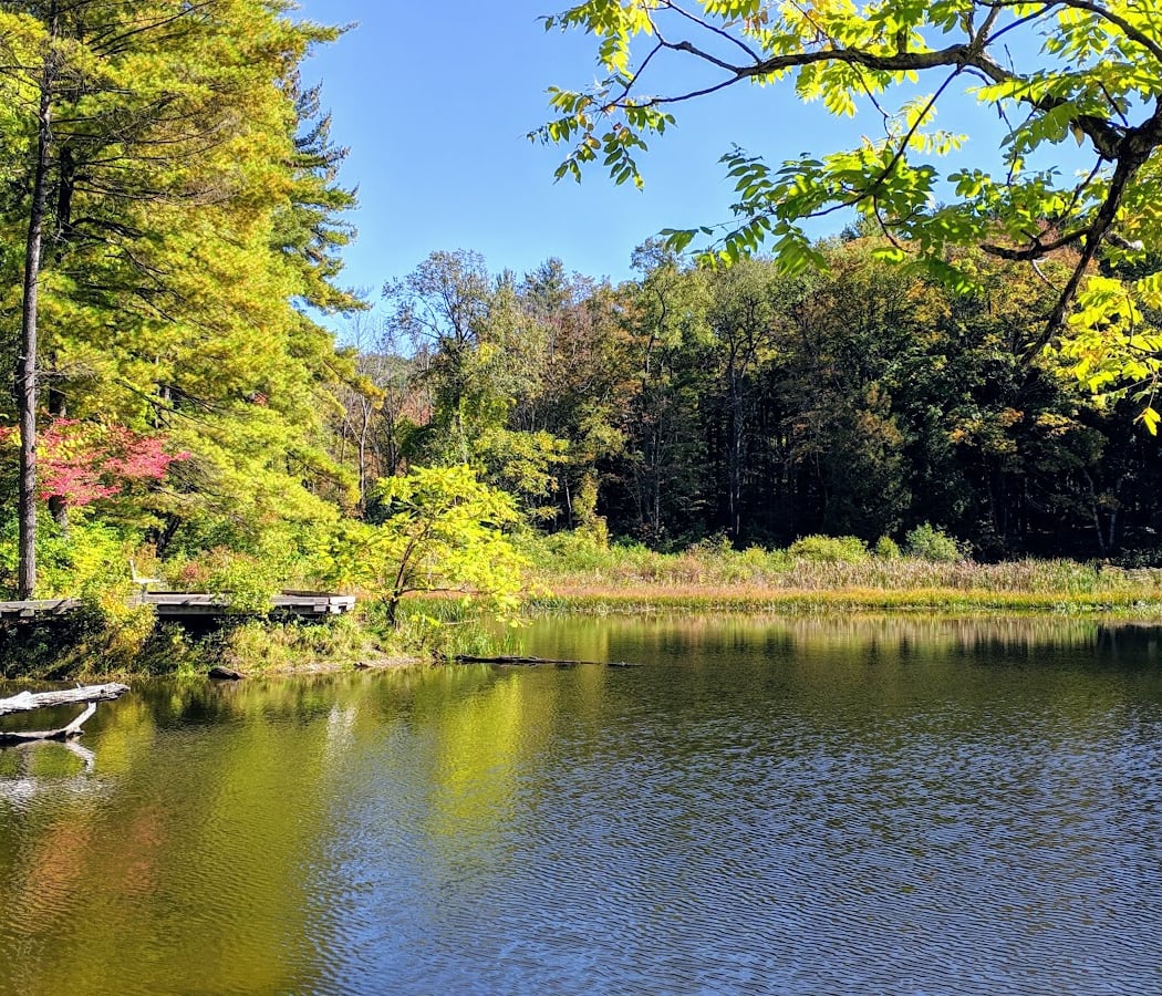 Thankful for Beavers Hike 3