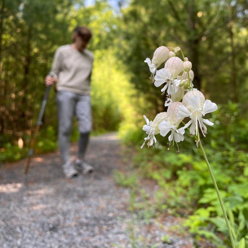 Boquet River Nature Preserve 1