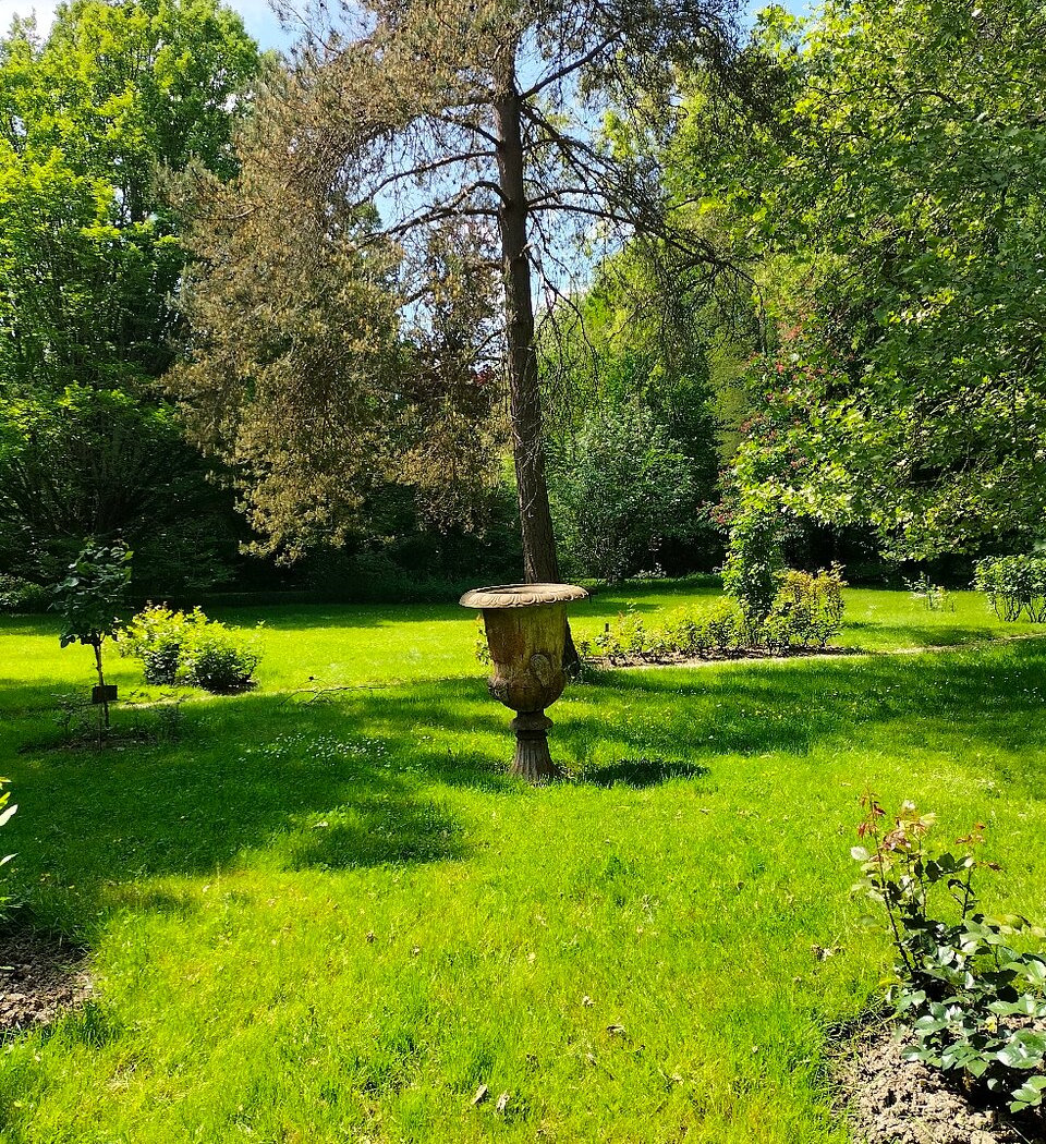 The Rose Garden of Provins 3
