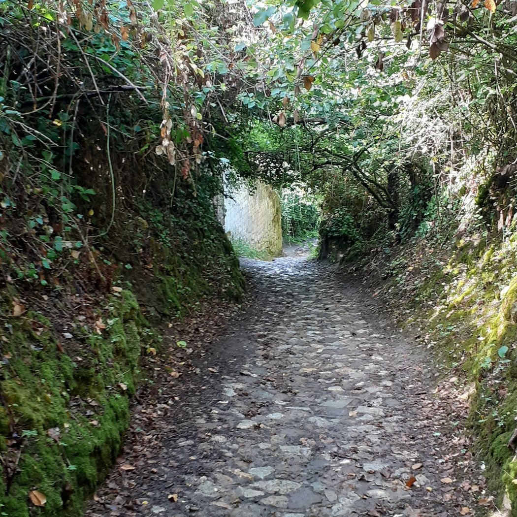 Point de vue Loire et Vienne 3
