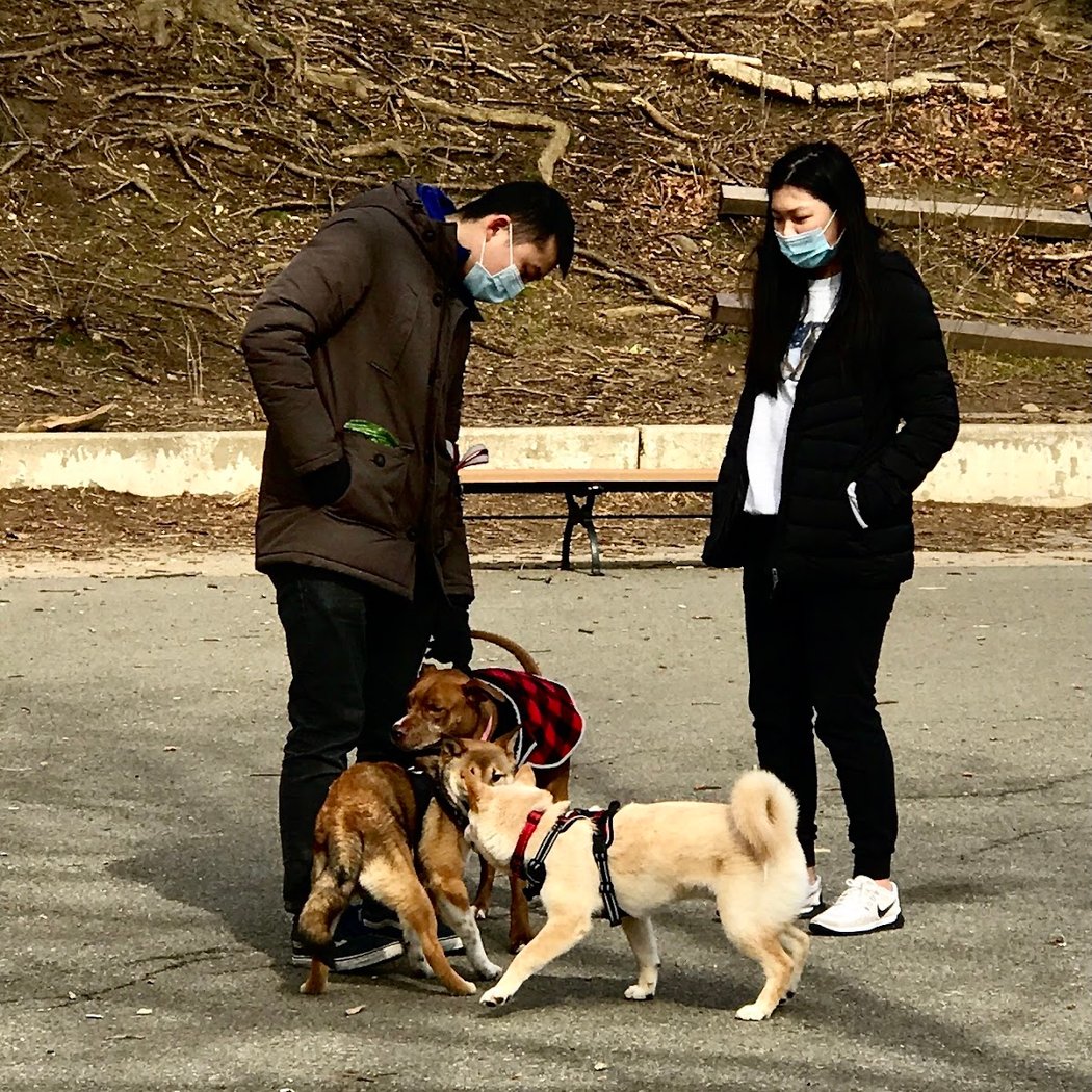Sherry Dog Run 2