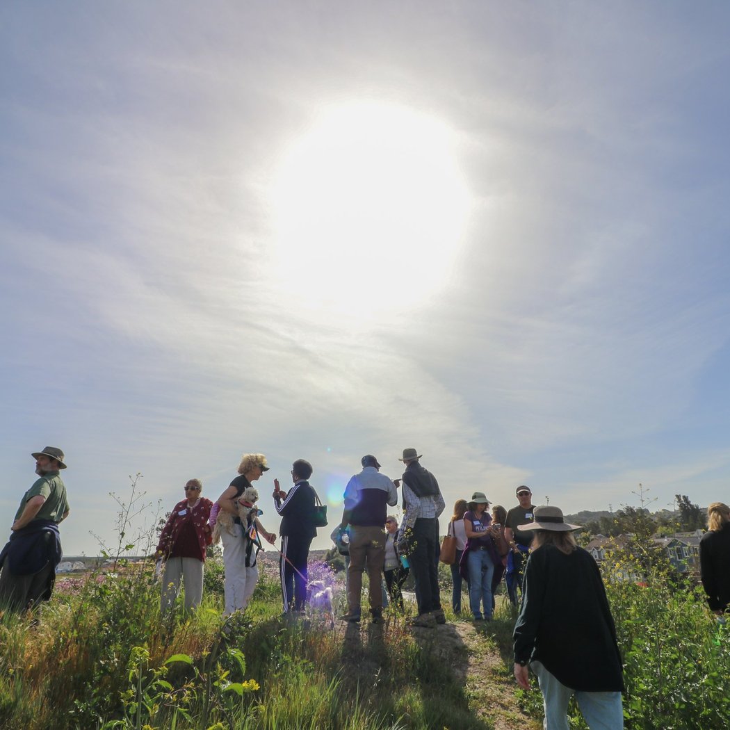 Petaluma River Park 1