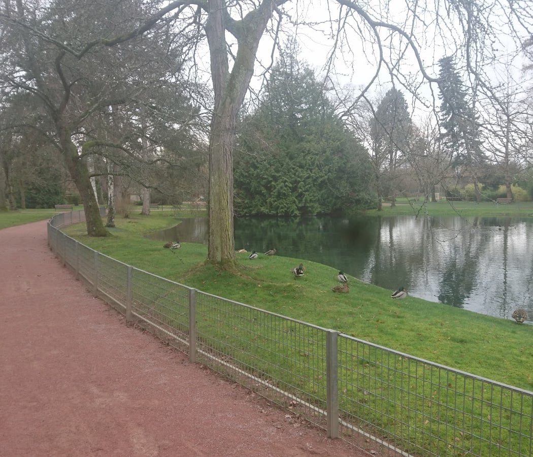Aire De Jeux Jardin Des Cordeliers 1