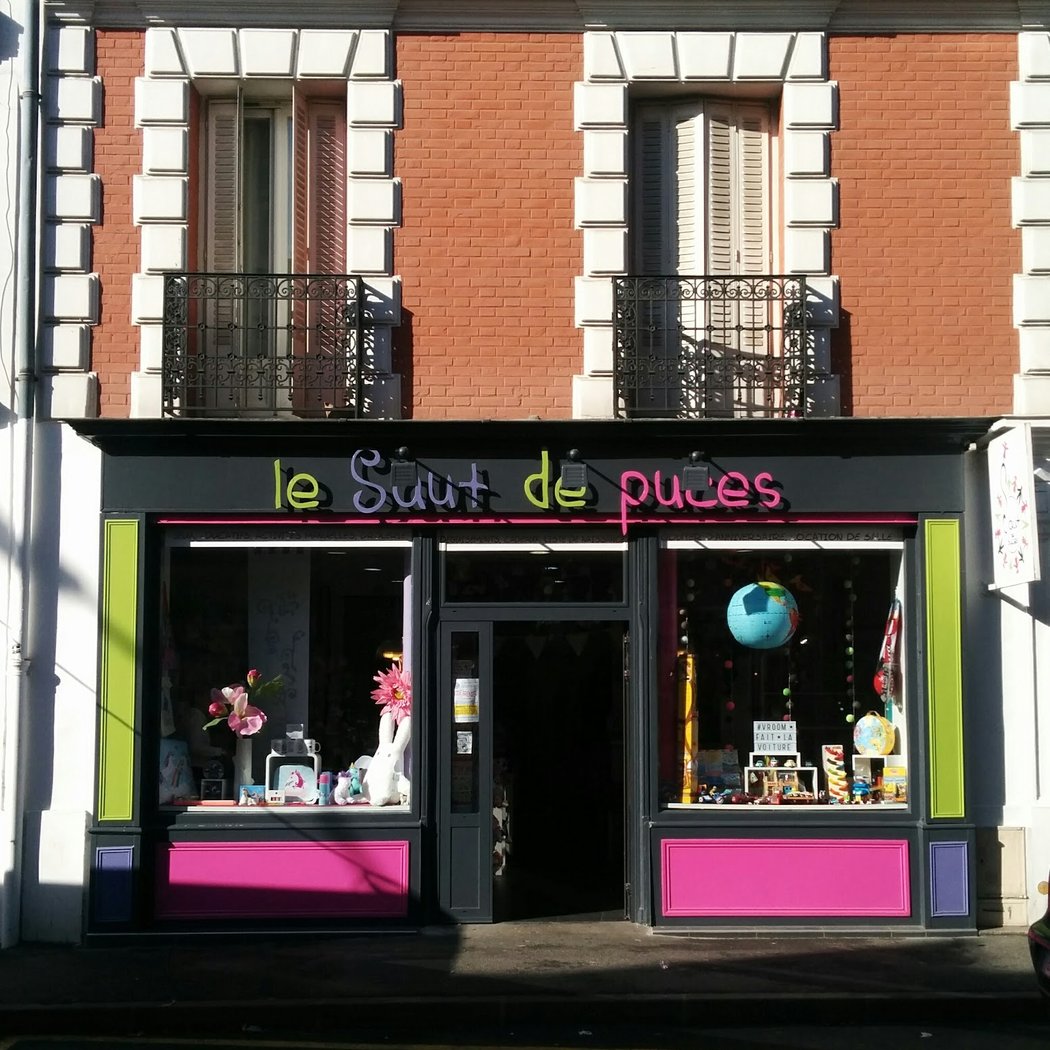Le Saut de Puces 2