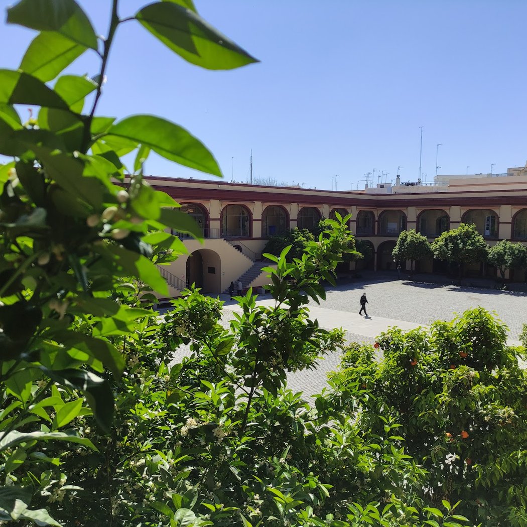 Cine de Verano en la Diputación 3