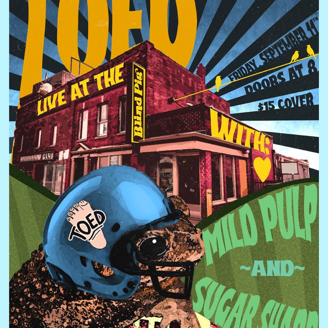 TOED, MILD PULP & Sugar Sharp Concert 1