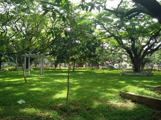 Richards Park 2