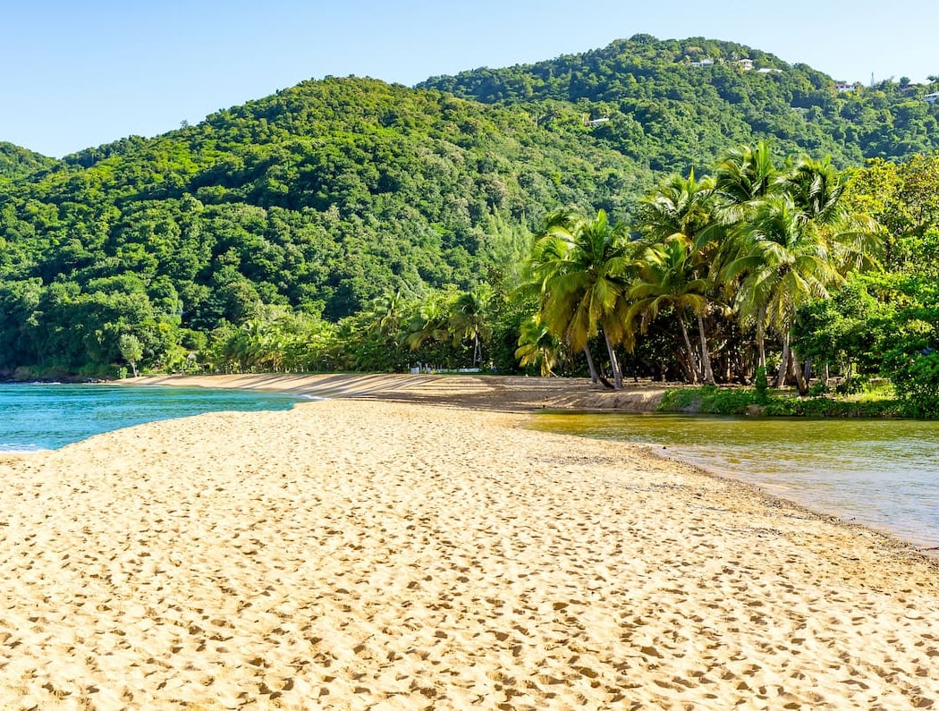 Plage de Grande Anse 1