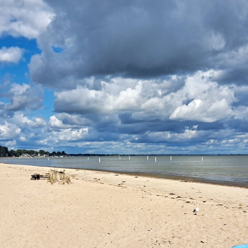 Bay City State Park 3