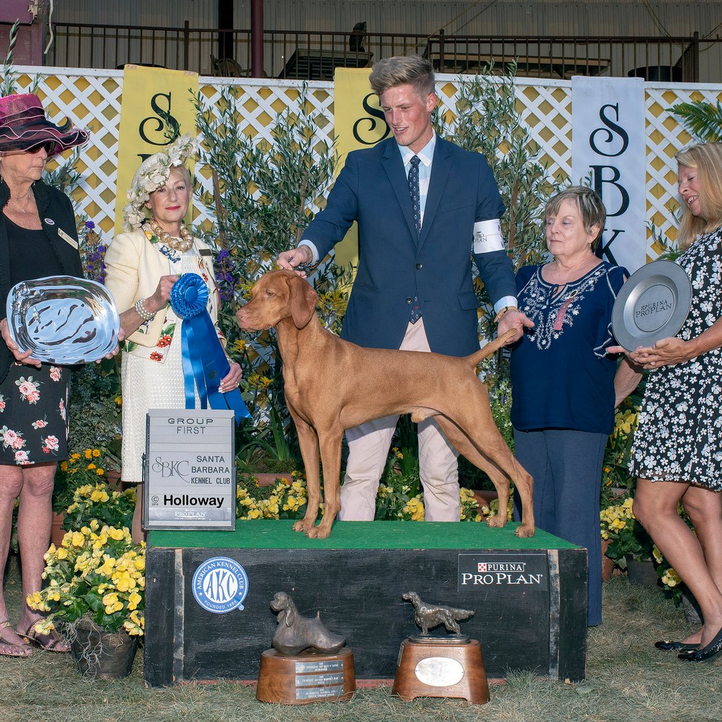 Santa Barbara Kennel Club Show 2