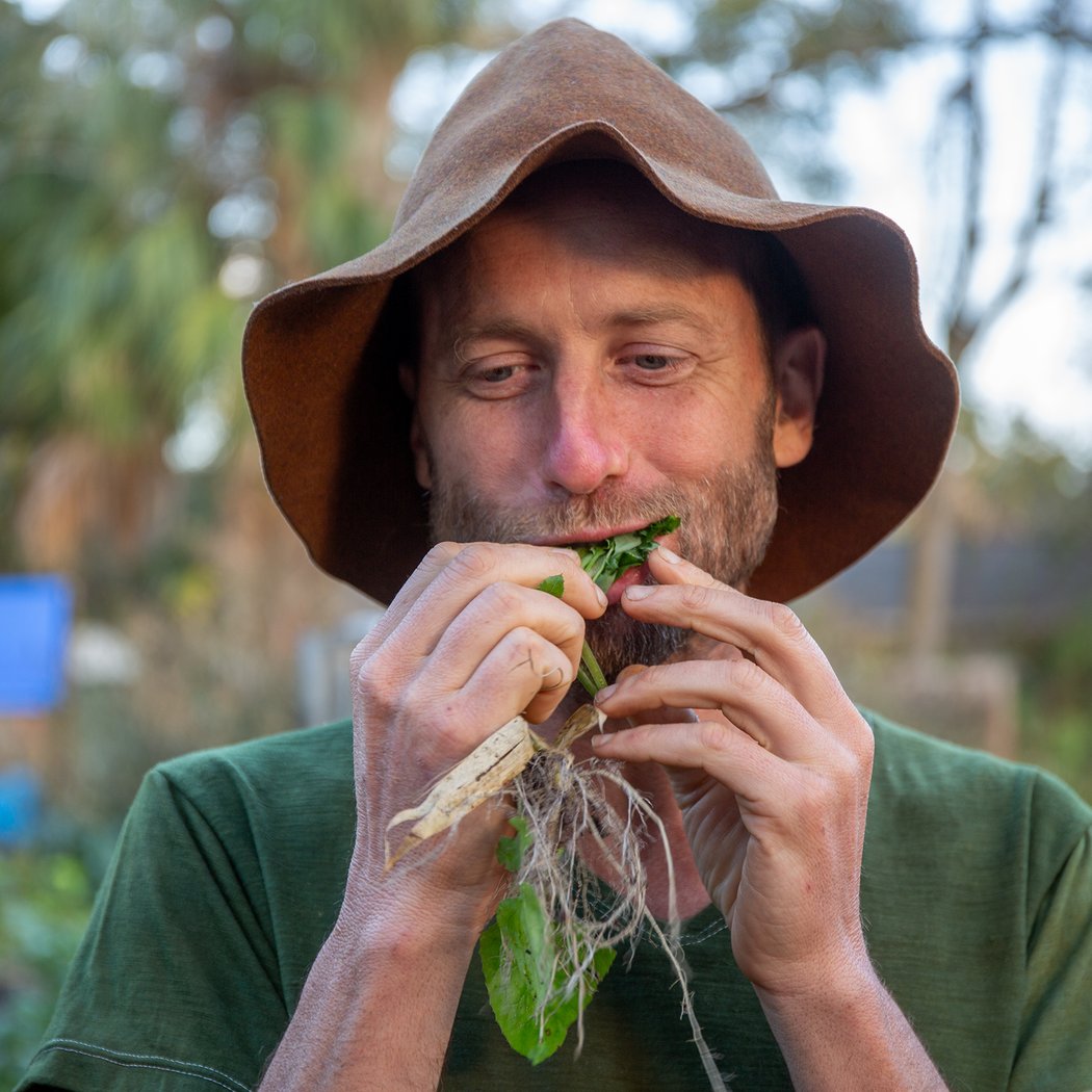 Foraging Walk with Robin Greenfield 1