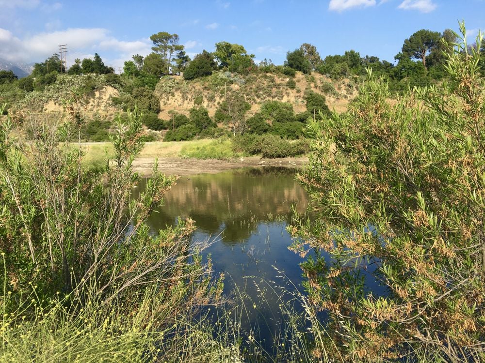 Hahamongna Watershed Park 2