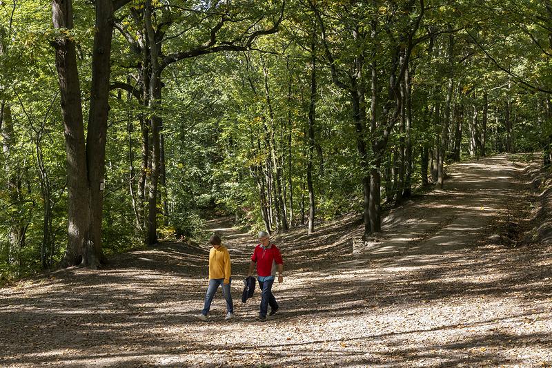 Forêt domaniale de Fausses-Reposes 2