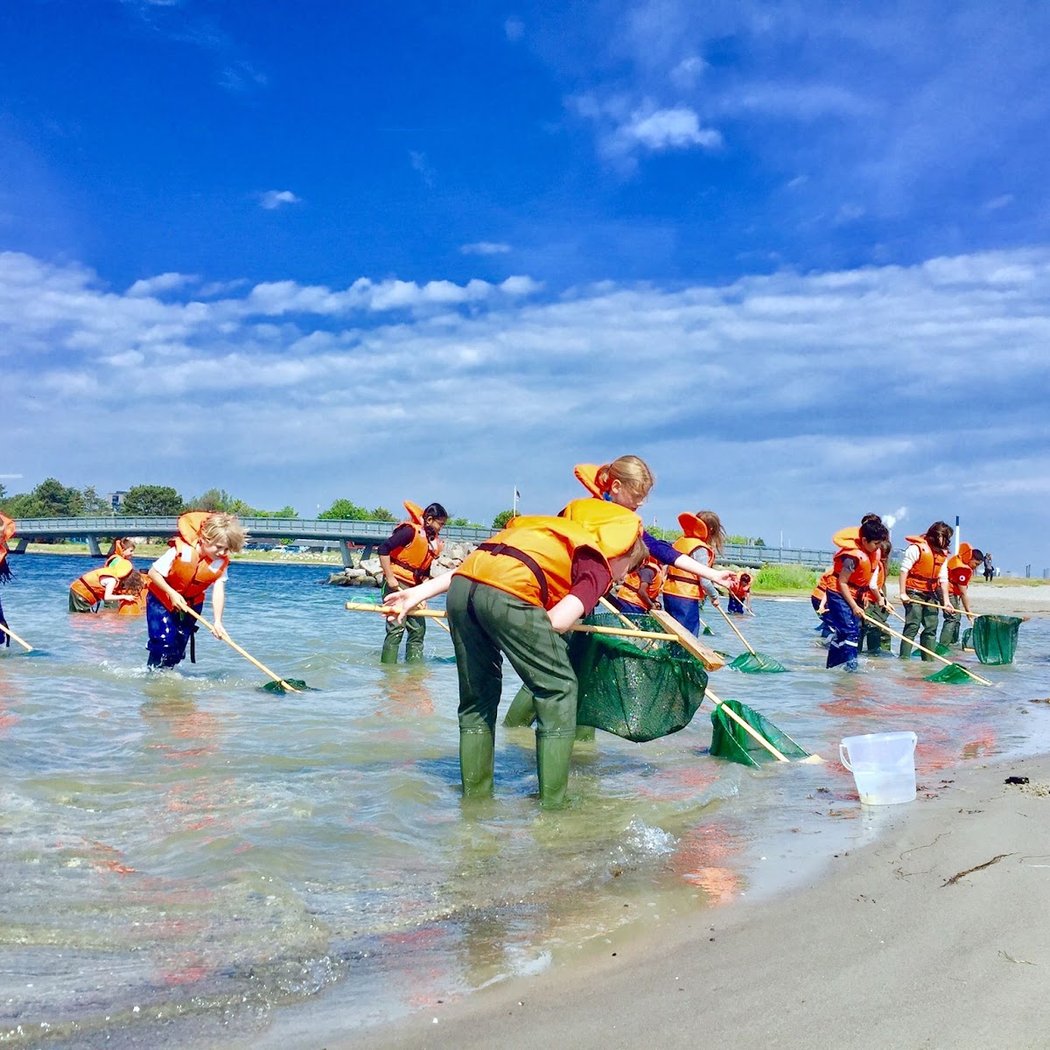 Science Camp i sommerferien uge 32 1