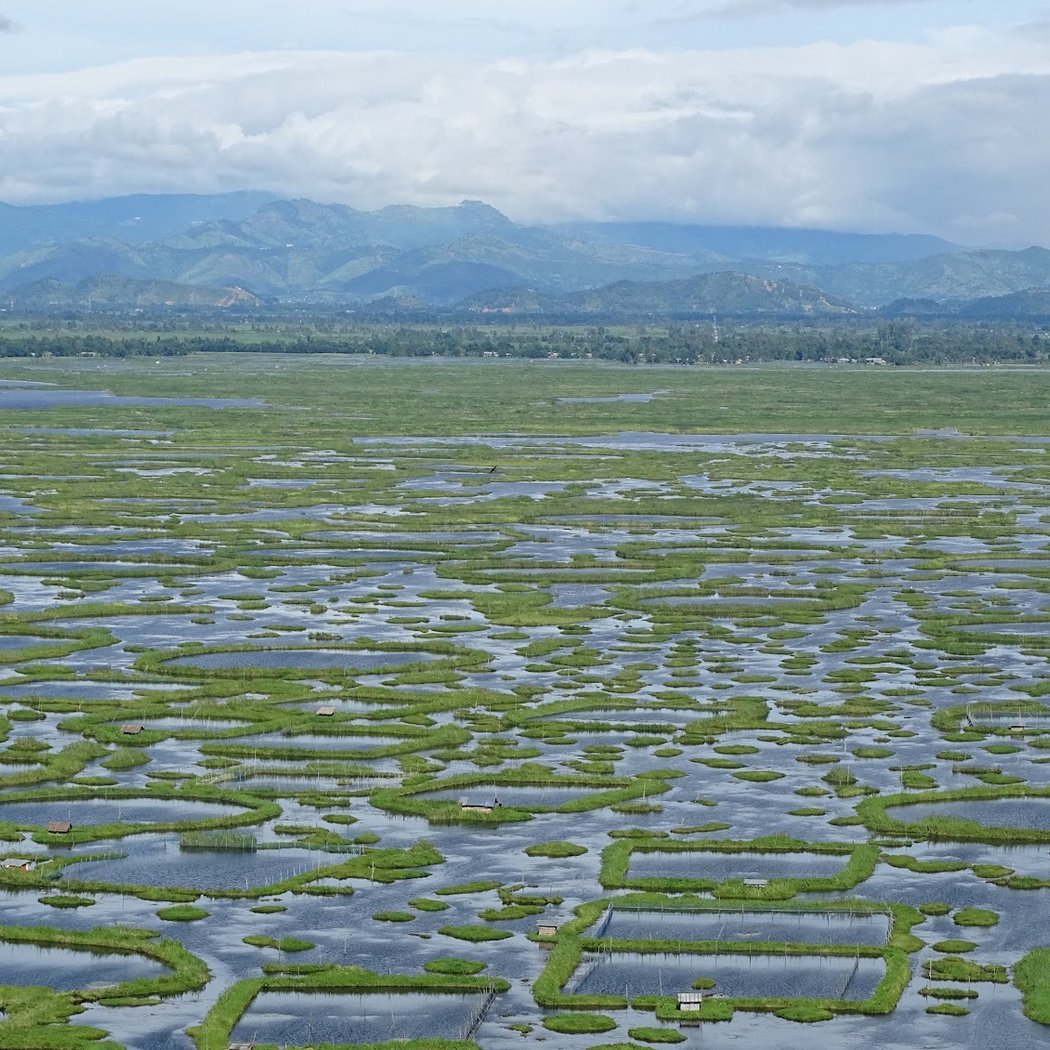 Loktak Lake 2