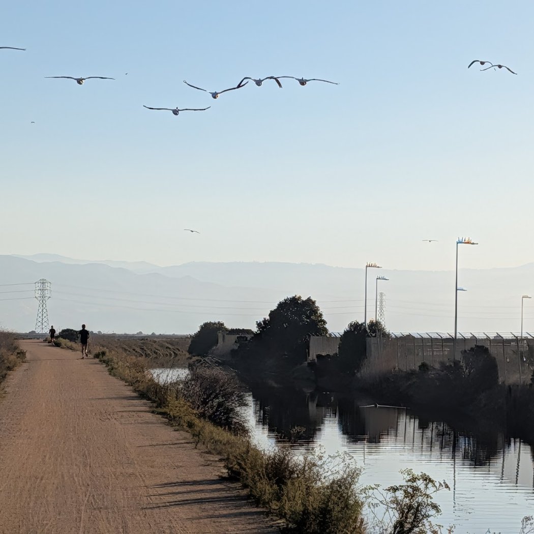 Don Edwards San Francisco Bay National Wildlife Refuge 2