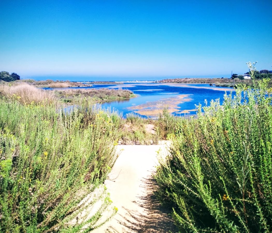 Outerknown x Surfrider LA Beach Cleanup at Malibu Lagoon 1
