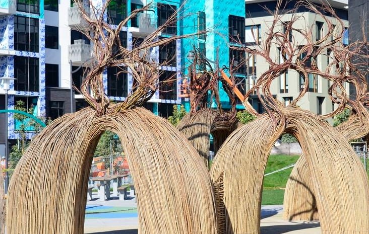 Mission Bay Kids Park 3