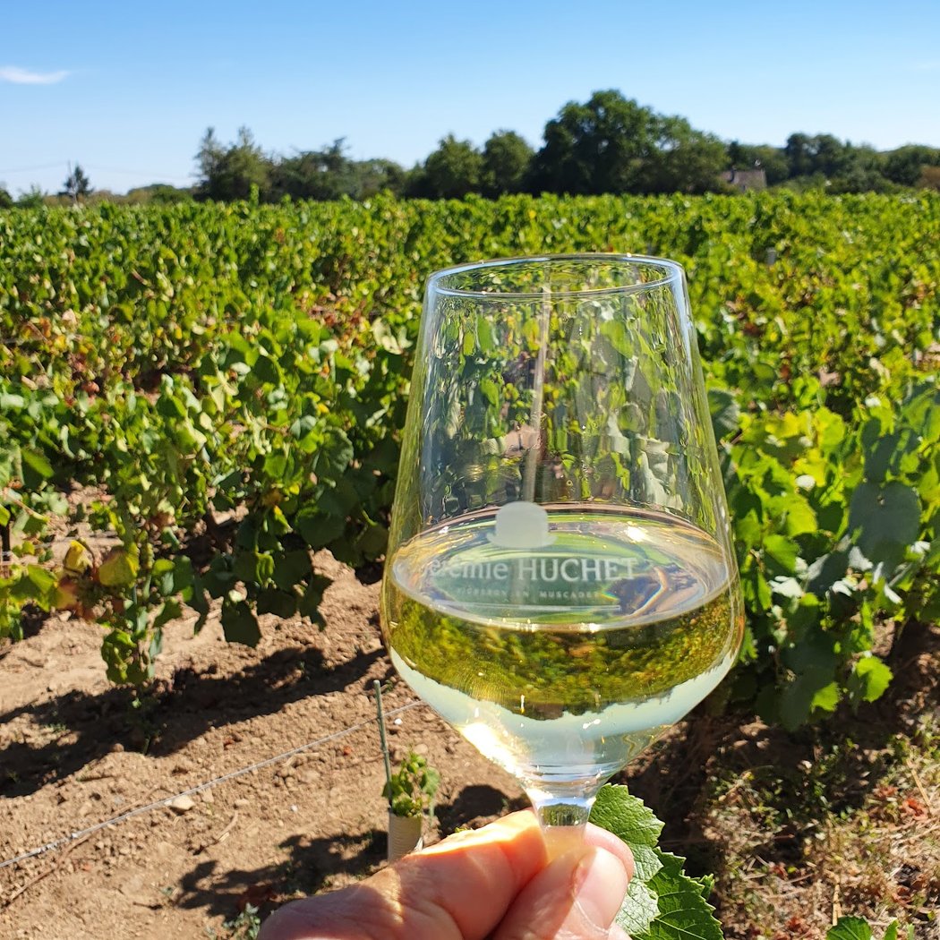 Jérémie Huchet Vigneron - Domaine de la Chauvinière 1