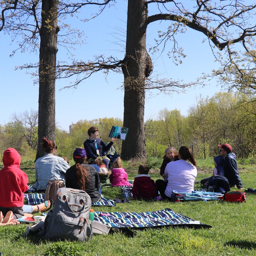 Storytime in the Meadow 3