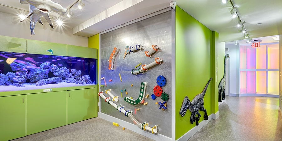 Brooklyn Preschool of Science Summer Program 1