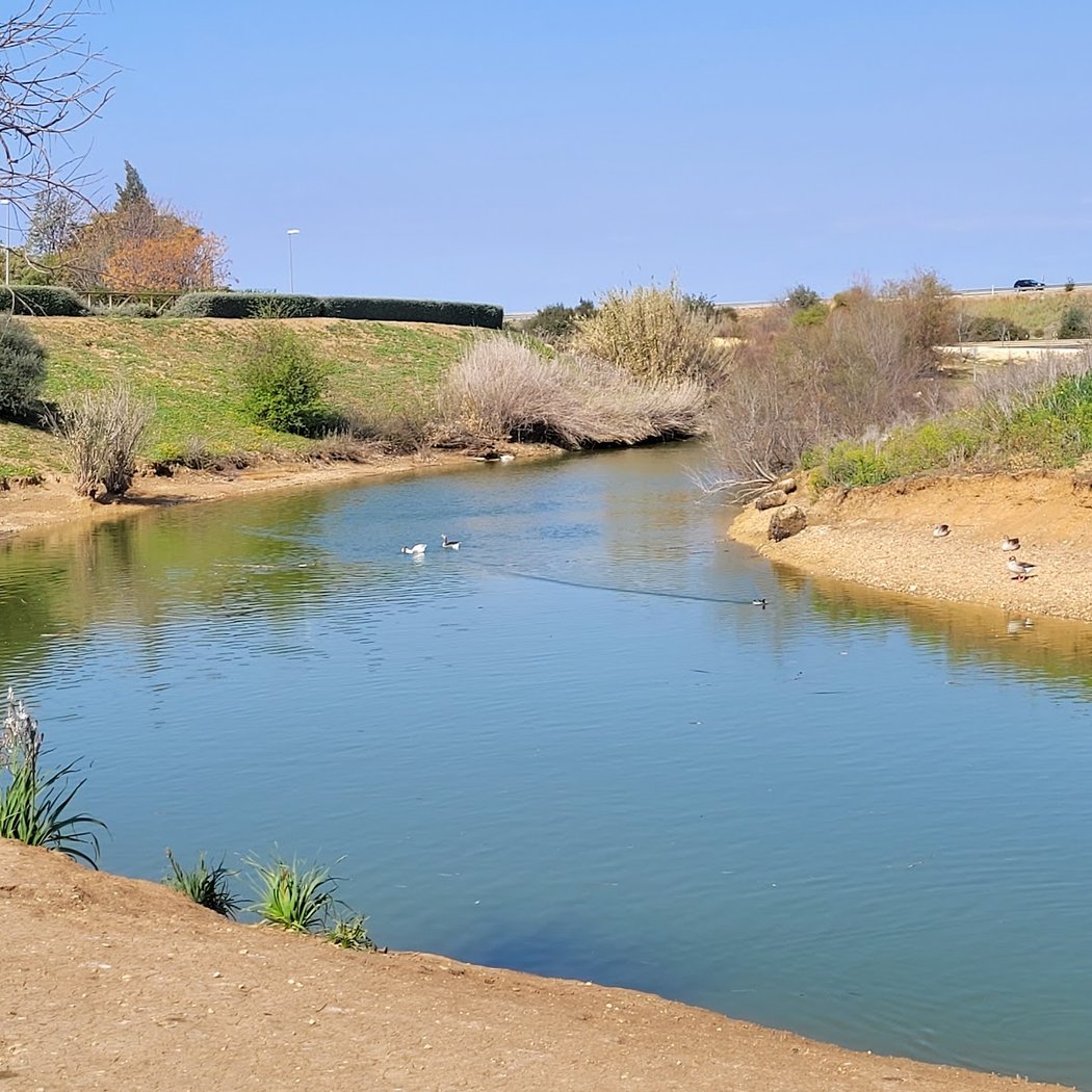 Parque del Tamarguillo 3