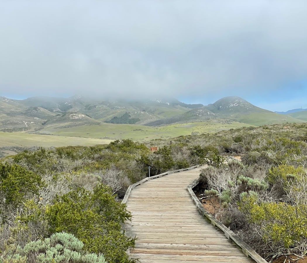 El Moro Elfin Forest Walk 2