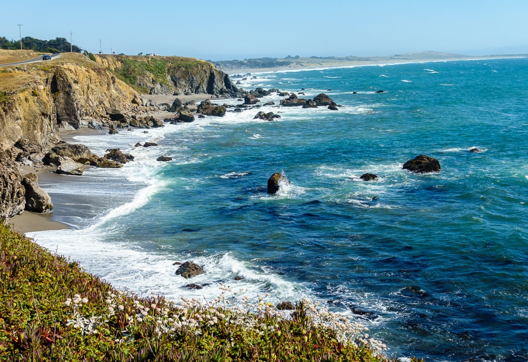Sonoma Coast Wildflower Walk 2