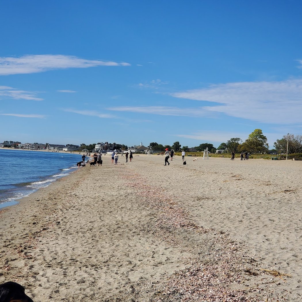 Jennings Beach 3