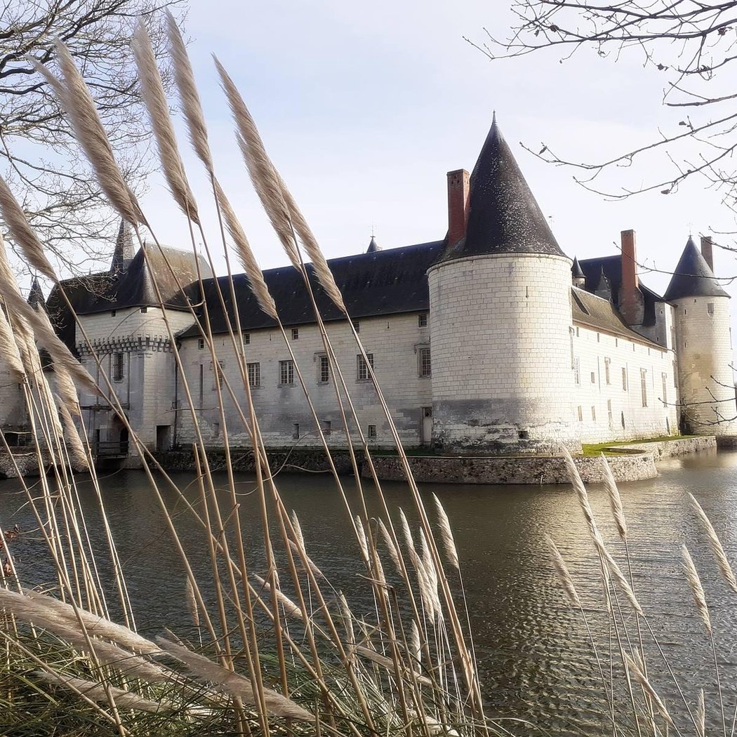Château du Plessis-Bourré 2