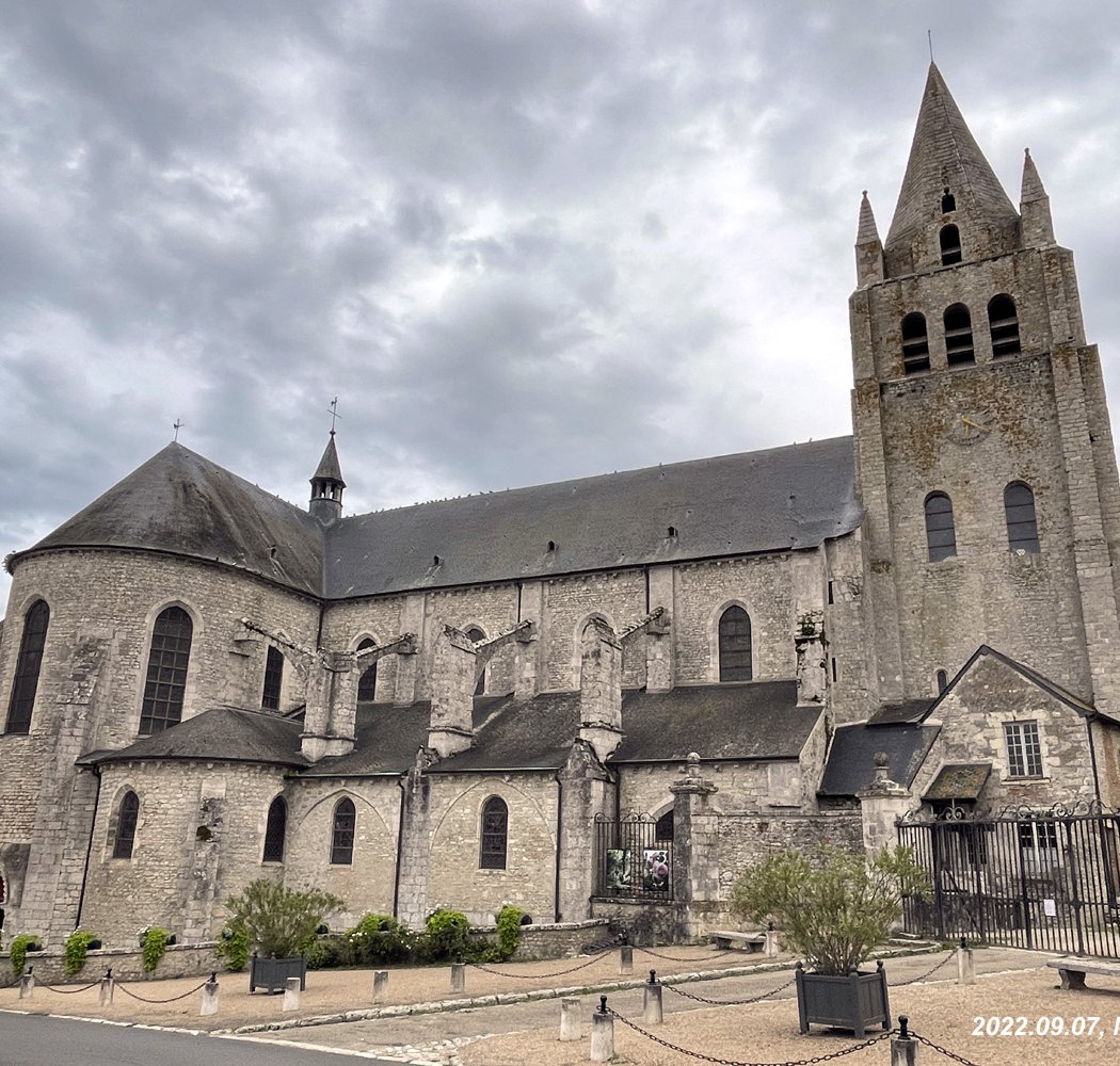 Collégiale Saint-Liphard de Meung-sur-Loire 4