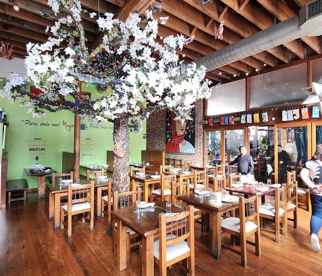 Mezcal Restaurant 3