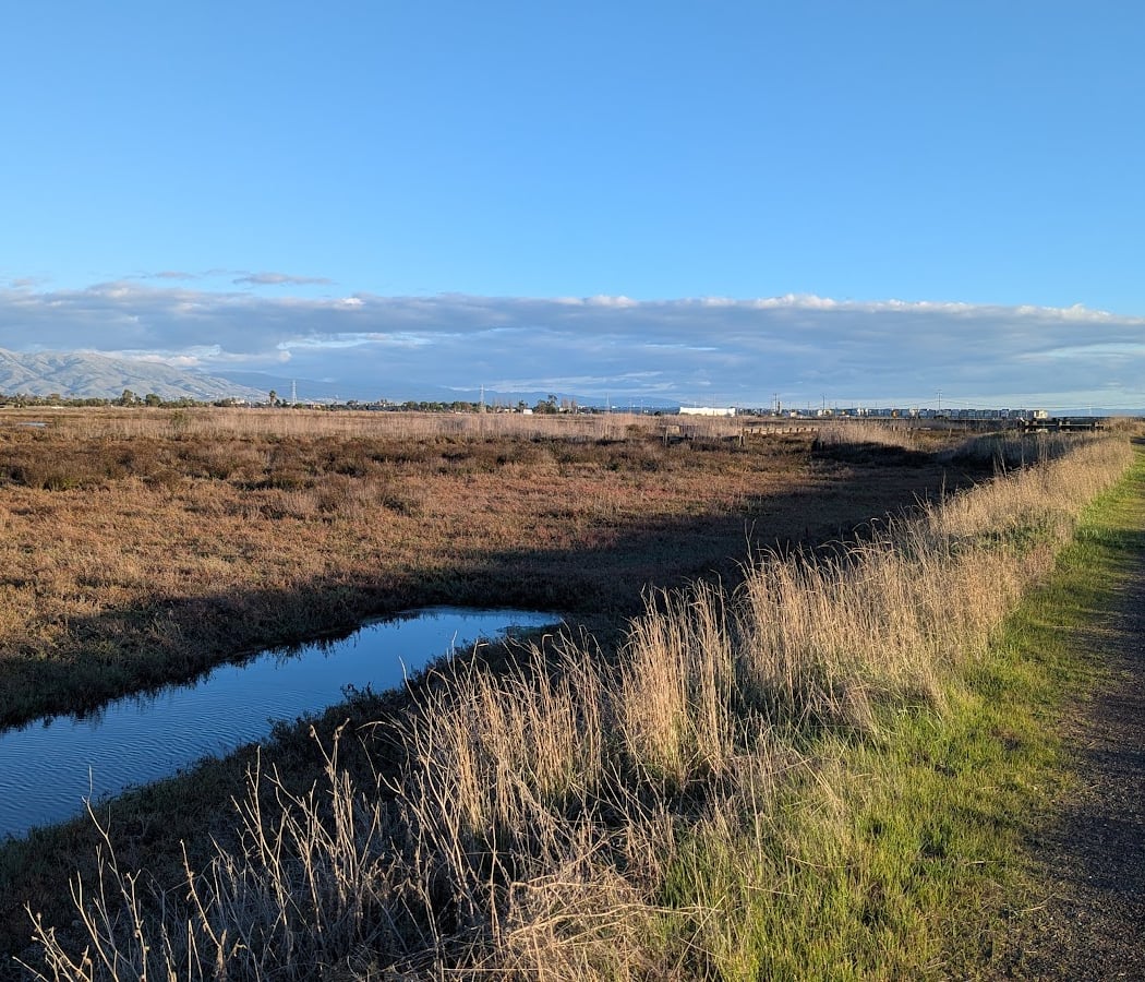 La Riviere Marsh Walk 3