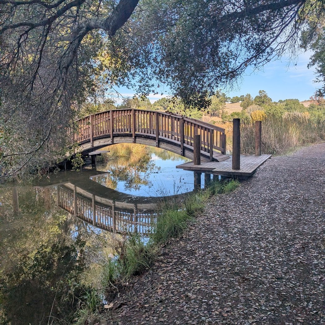 Family-Friendly Nature Walk 5