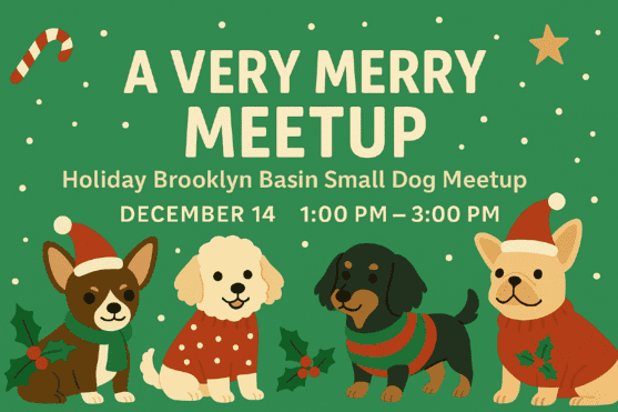 A Very Merry Brooklyn Basin Small Dog Meetup 1