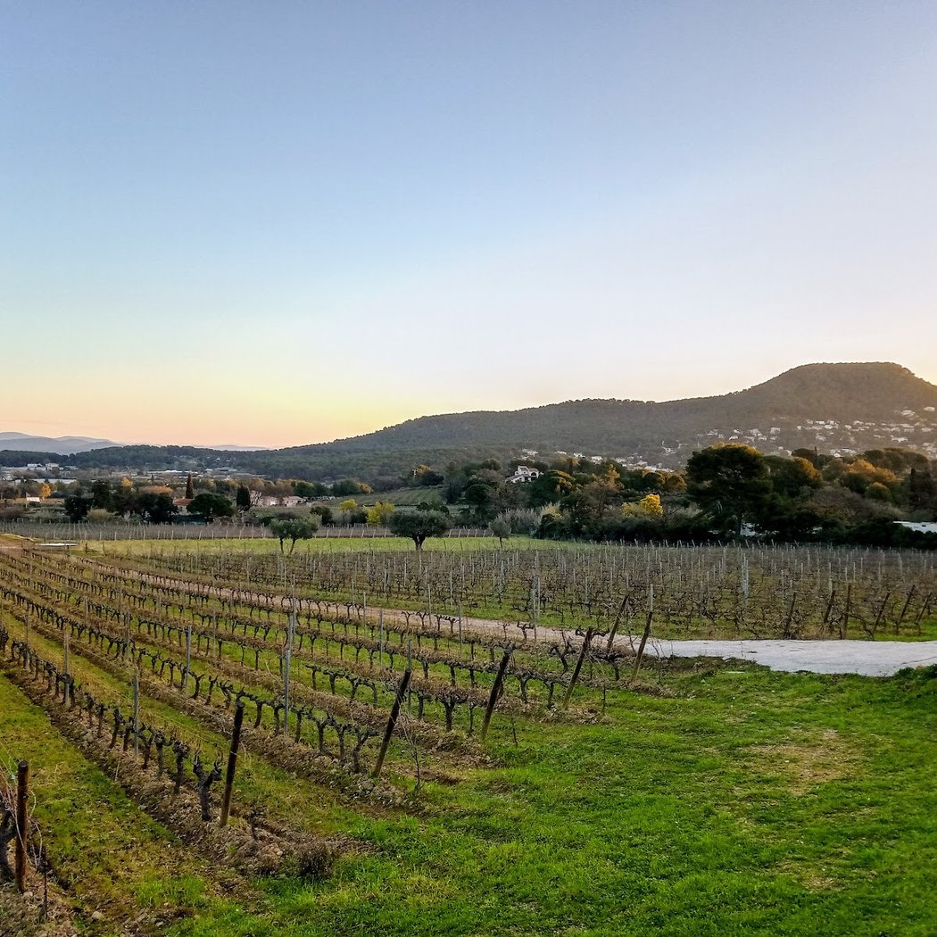 DOMAINE LA NAVICELLE 3