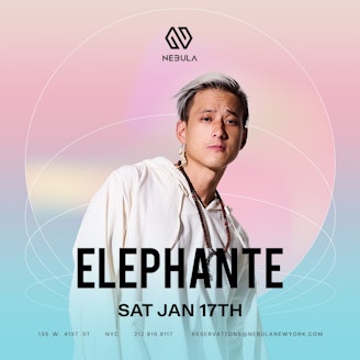 Elephante 1