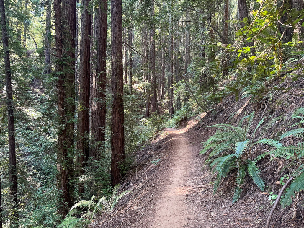 French Trail 2
