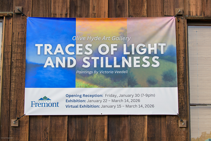 Traces of Light and Stillness 1