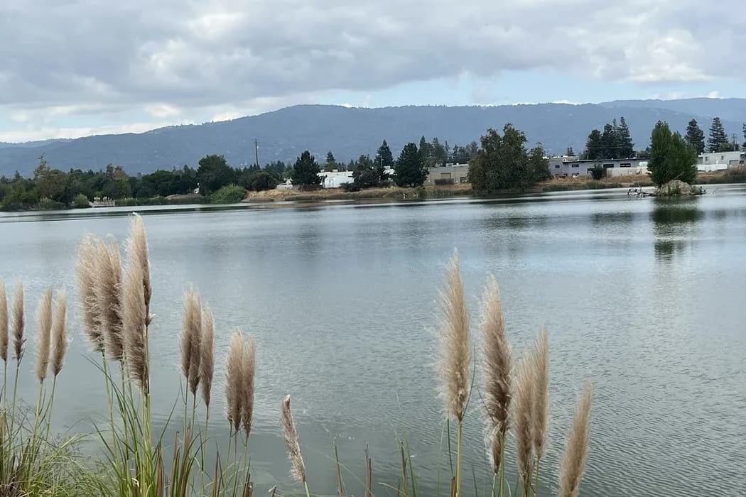 Los Gatos Creek Trail 1