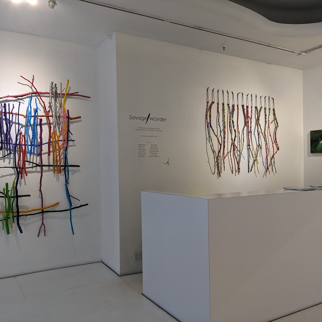 Savage Wonder Art Center – Tribeca Pop-Up 4