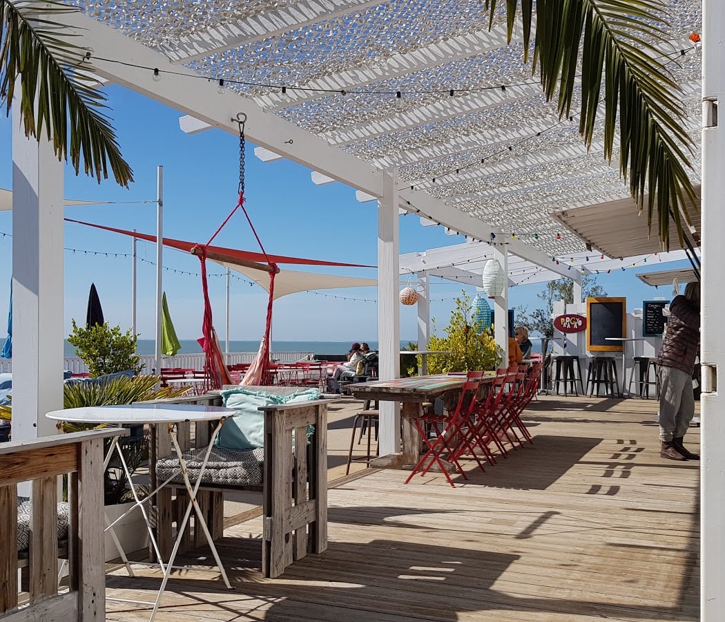 Le Papagayo 2